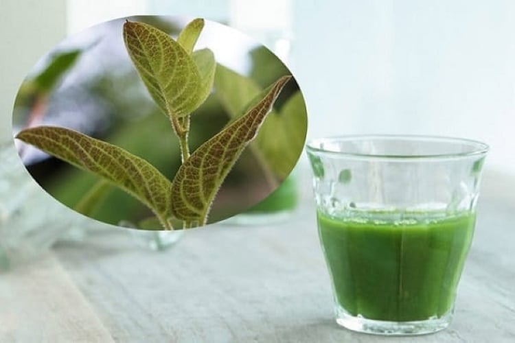Nước ép là mơ lông