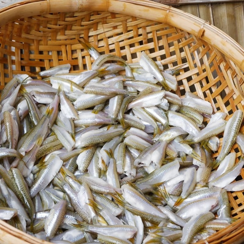 Cá lòng tong nhỏ vậy thôi nhưng thịt lại ngọt và mềm, xương nhỏ nên dễ ăn