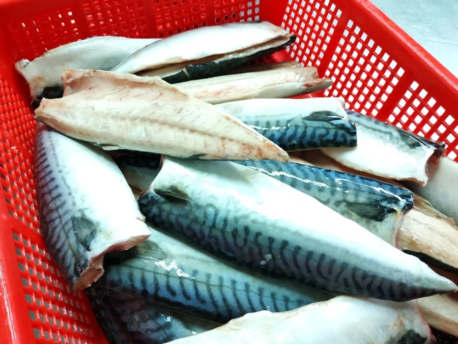Nguyên liệu cá nục để kho