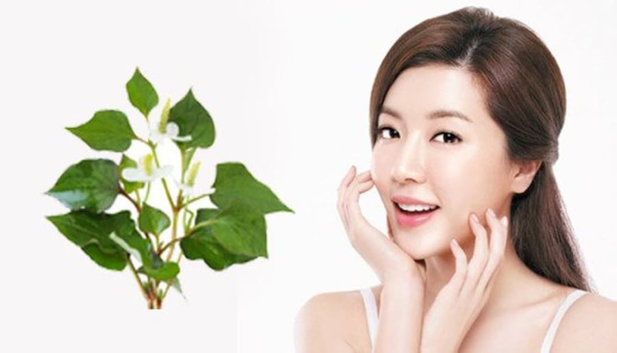 Món rau dân dã nhưng lại có khả năng bảo vệ da tự nhiên đáng kinh ngạc.