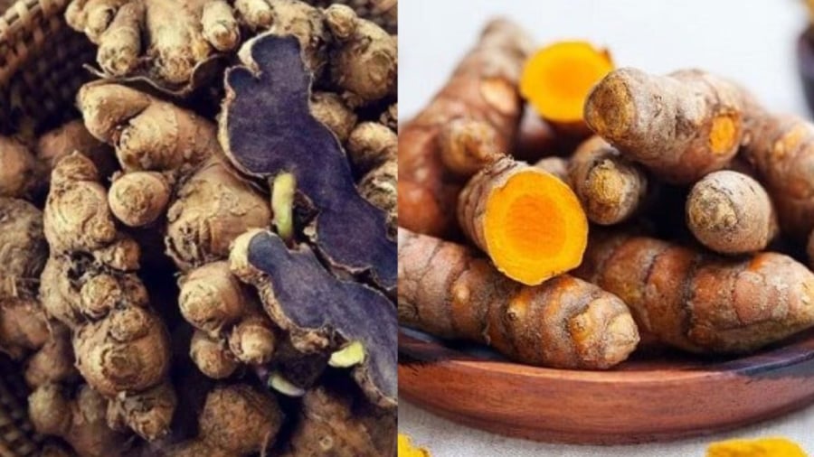 Nghệ đen, nghệ vàng đều là những dược liệu quý nhưng chúng có những công dụng và cách dùng khác nhau