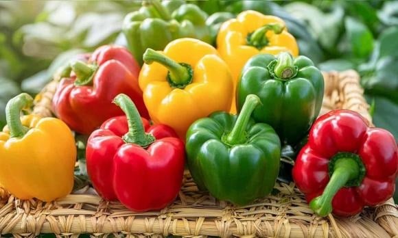 Các chuyên gia dinh dưỡng khẳng định, ớt chuông là loại rau củ ít calo, ít tinh bột, chỉ số đường huyết thấp và giàu chất chống oxy hóa.