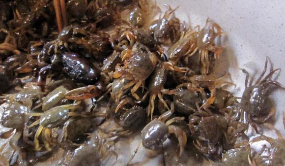 Ví dụ, khi anh chị em gặp khó khăn tài chính hoặc xung đột hôn nhân, chỉ nên hỗ trợ khi họ chủ động nhờ giúp.