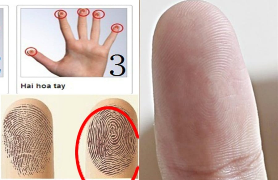 Đếm số hoa tay, ra đúng số này Tiền tiêu không hết, số sướng đến già