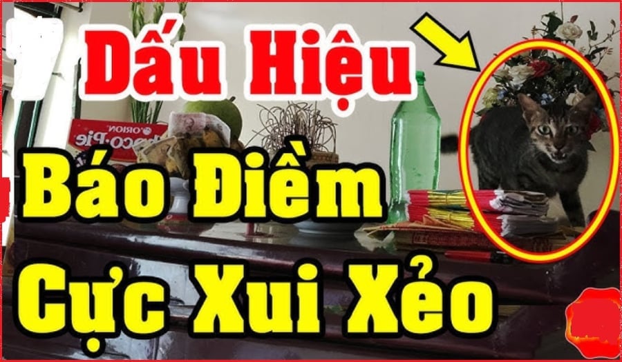 diem-bao-sap-gap-xui-1458