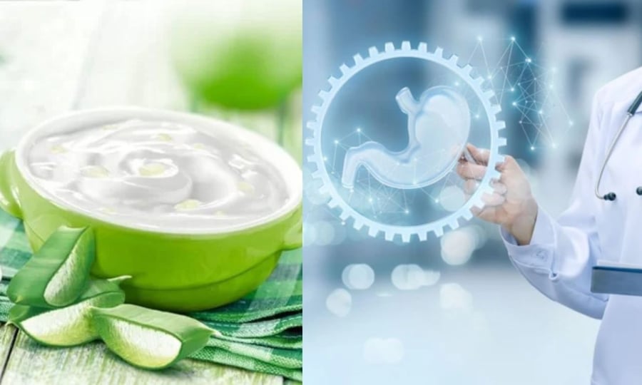 sua-chua-nha-dam-ho-tro-tieu-hoa