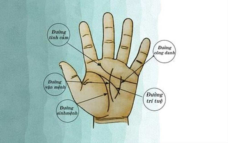 Đây là nhóm người sinh ra đã có “mệnh hút tiền”, dễ gặp vận quý nhân giúp đỡ.