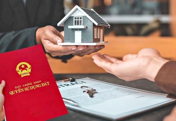 Được UBND cấp xã xác nhận sử dụng đất ổn định, không tranh chấp và không vi phạm pháp luật.