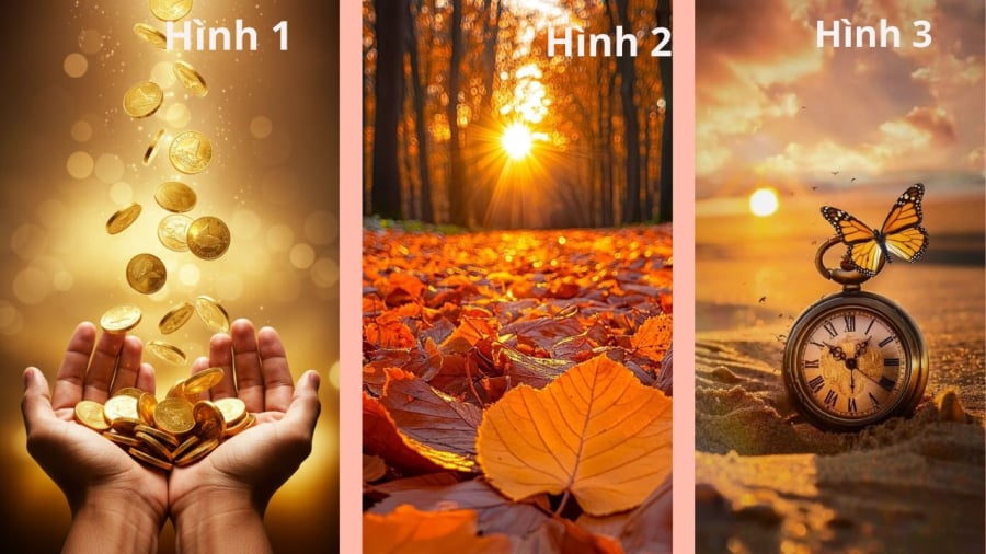 Bạn bị thu hút bởi hình ảnh nào nhất?