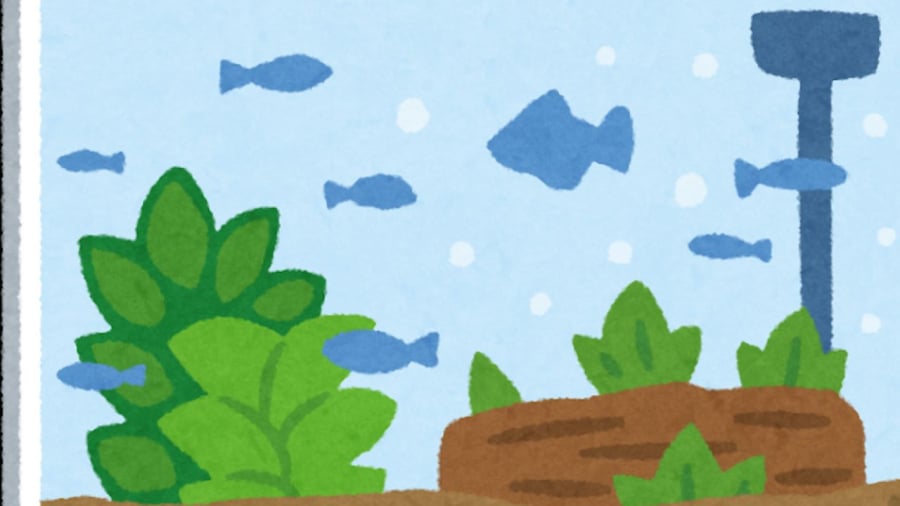 Vật nuôi trong nhà im lặng là lúc phong thủy sa sút