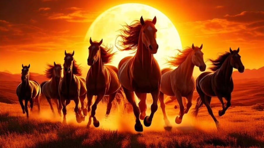 Tuổi Ngọ – Cát tinh chiếu rọi, giàu sang thăng hạng    