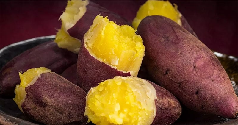 5 người này ăn khoai lang cực hại