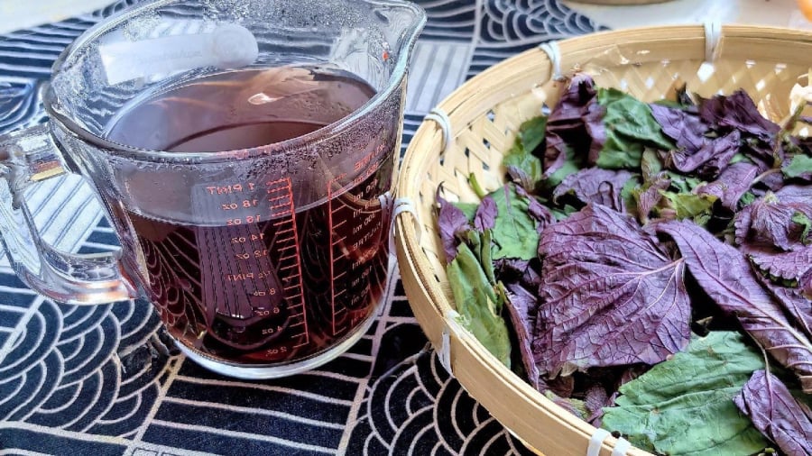 Nước tía tô đậu đen mang lại nhiều lợi ích cho sức khỏe.