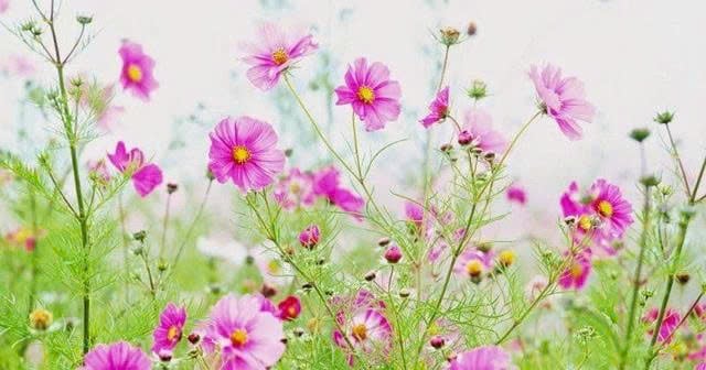 z7192150273941_a343f75c81bf9f4cf99d81becb7c00d2