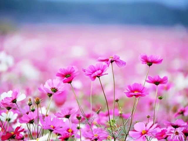 z7192151510188_b04870fdbc37a89f69d260b6970c4385