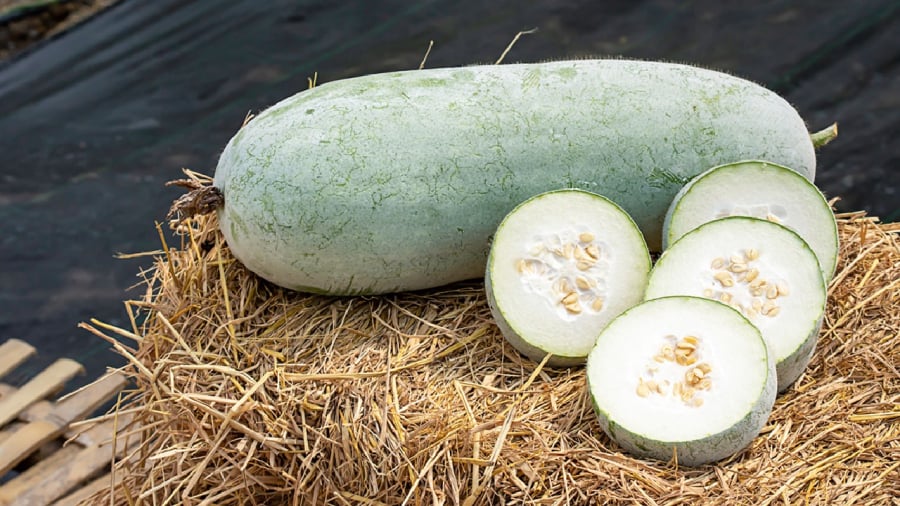 Không phải ai cũng nên ăn bí đao.