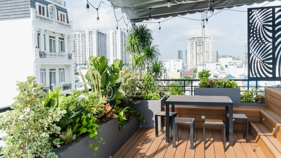  Ban công kị trồng nhiều cây cỏ. (Ảnh minh họa)