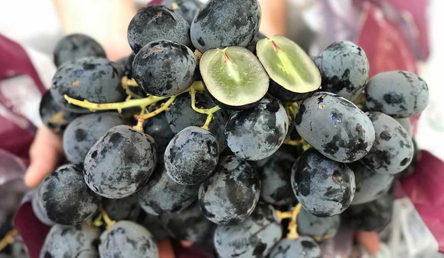 Nho đen chứa resveratrol và vitamin E – hai chất chống oxy hóa mạnh giúp bảo vệ nang tóc khỏi stress oxy hóa