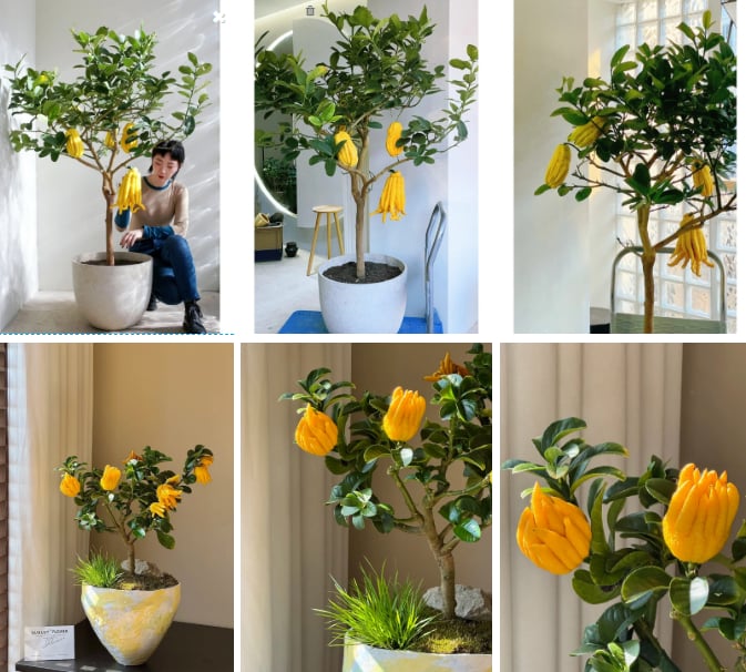 screenshot-2025-11-10-111735-111758-1762749435089-17627494352821790887880