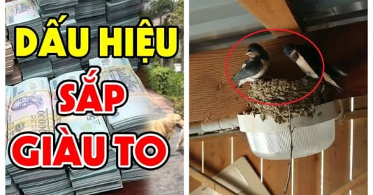 Trong quan niệm dân gian, én bay về báo hiệu mùa xuân, mùa của khởi đầu, sinh sôi và sung túc. 