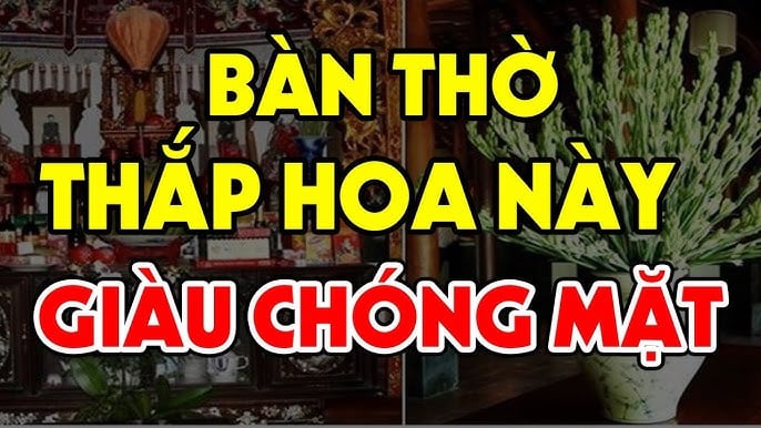 Theo phong thủy, nếu nước trên bàn thờ thường trong veo, không vẩn đục hay có bọt, nghĩa là gia đạo đang bình an, tài lộc lưu thông thuận lợi.