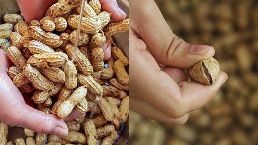 Bạn có thể rửa sạch lạc rồi bóp nhẹ phần vỏ để vỏ tách ra.