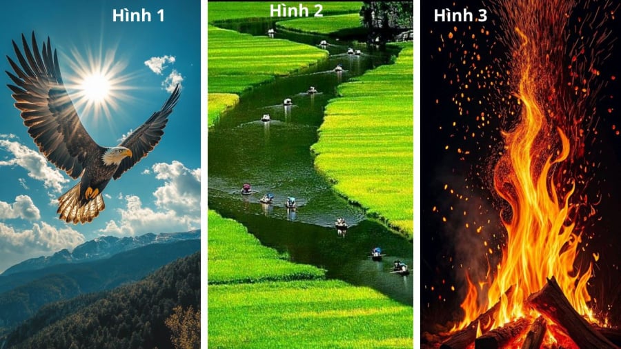 Bạn bị thu hút bởi hình ảnh nào?