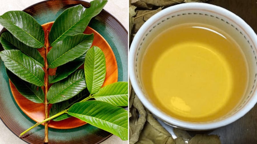 Nước lá ổi có tác dụng tốt trong việc giảm cân.