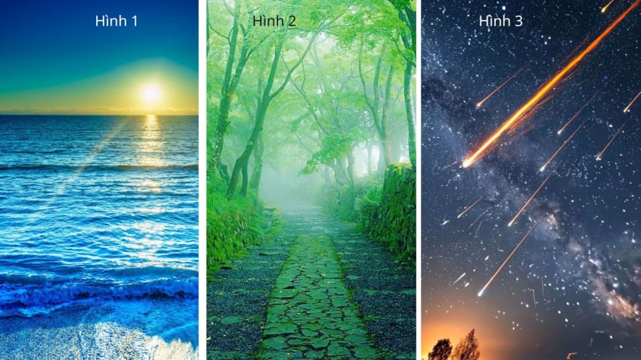 Bạn chọn hình nào?