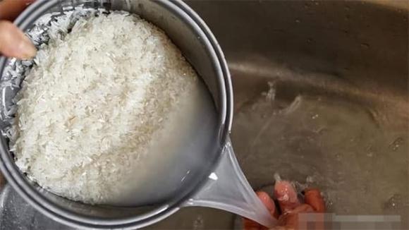 Chậu trầu bà này là quà từ bạn tôi, lúc mới mang về lá xanh mướt và đầy sức sống. 