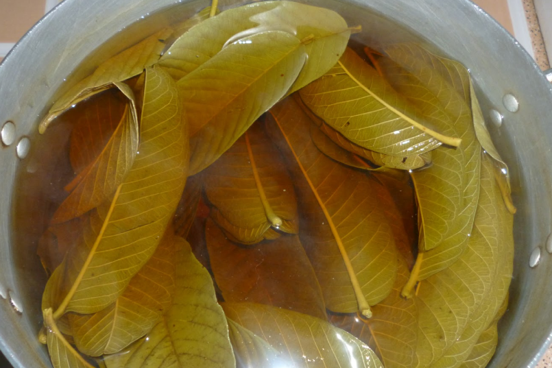 Mặc dù lá ổi có tác dụng kháng viêm khá tốt, nhưng nếu nấu đặc hoặc uống quá nhiều, tanin trong lá ổi có thể gây kích ứng niêm mạc dạ dày