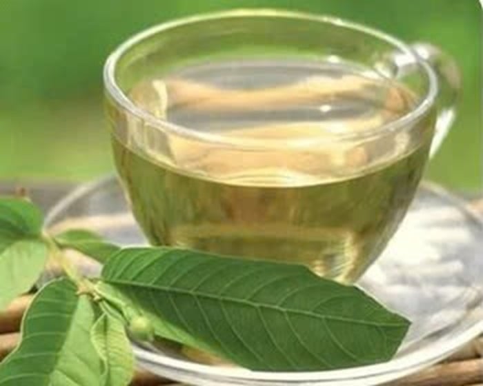 Nước lá ổi tốt những không phải ai cũng phù hợp