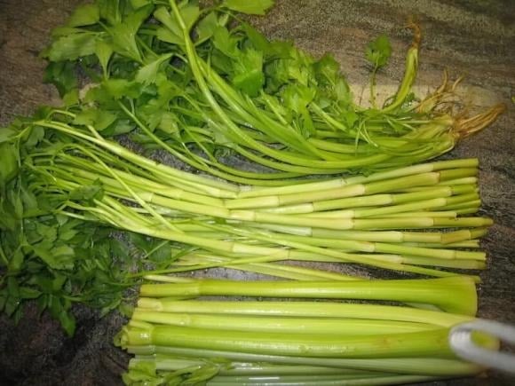 Rau cần nước là loại rau thủy sinh, sinh trưởng chủ yếu trong môi trường nước, điều này tạo điều kiện thuận lợi cho các loại ký sinh trùng như sán lá gan lớn, sán lá ruột lớn… phát triển và bám vào lá.