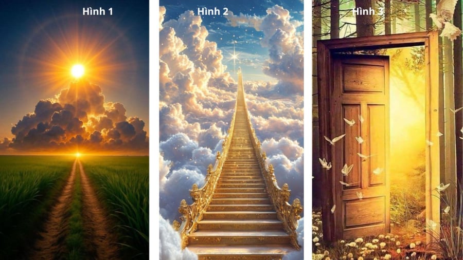 Bạn chọn hình nào?