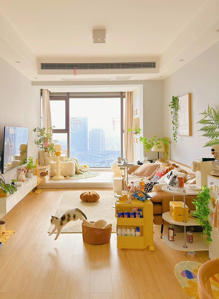 photo-7-1694152763064906098306-135144-1763365210752-1763365210984507740706