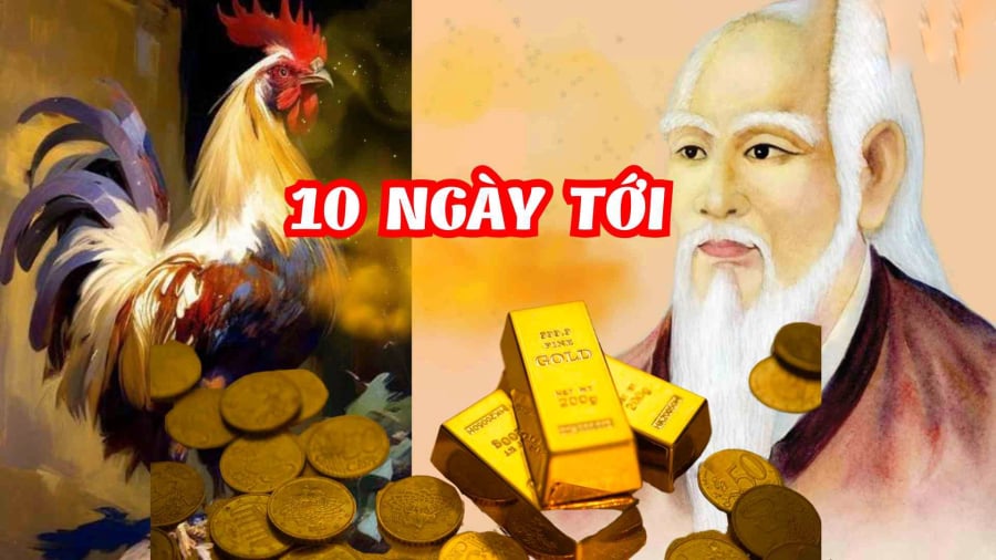 Dòng chảy tài lộc hanh thông, tiền bạc kéo về dồn dập như thác cuốn, làm ăn thuận lợi, may mắn bủa vây ở cả công việc lẫn cơ hội làm giàu.