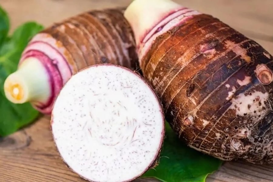 Khoai môn mọc dưới đất, vỏ dày, tự nhiên chống sâu bệnh. Ảnh minh họa