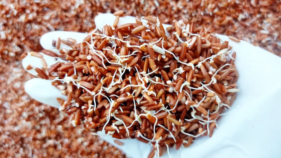 Gạo lứt mọc mầm có giá trị dinh dưỡng cao.