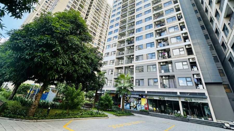 Các tầng ở khoảng 2/3 chiều cao của tòa nhà thường có nguồn sáng tốt, thông gió và không bị cản tầm nhìn.