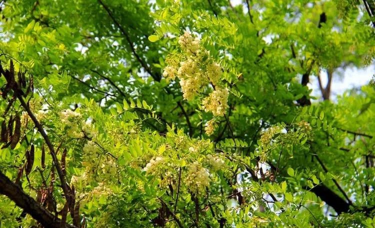 base64-176343687602083349372-1763512988731-1763512991889869012192-1763626986220-17636269864981993354494