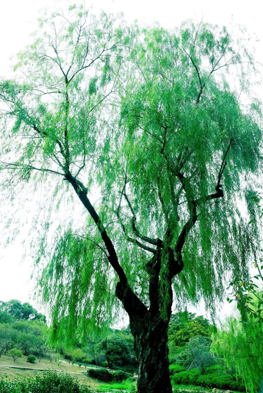 z7248366242832_d733d51b5d81bd187ed6d43c1540da66