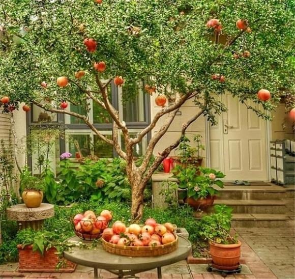 Hải đường là loài hoa được ưa chuộng trong văn hóa truyền thống, thường xuất hiện trong tranh cổ, hoành phi và câu đối như biểu tượng của sự phú quý, viên mãn và thịnh vượng.    