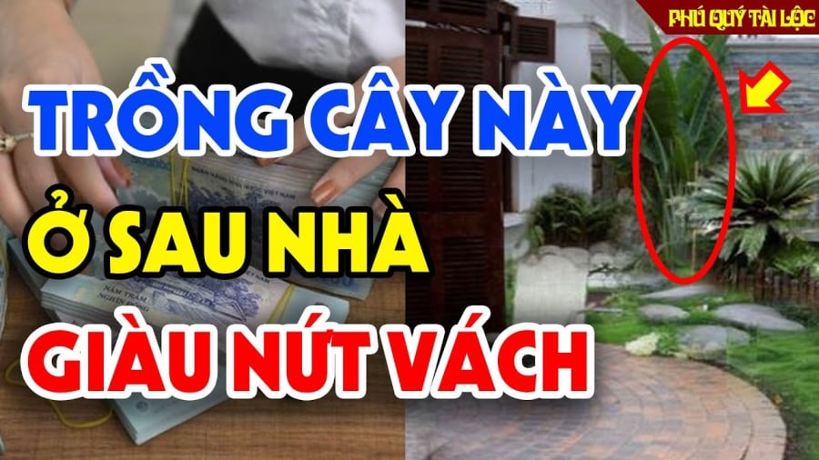 Tổ Tiên dặn 5 cây trước nhà nghèo mấy cũng chớ dại chặt bỏ: Mất Lộc mất Tiền