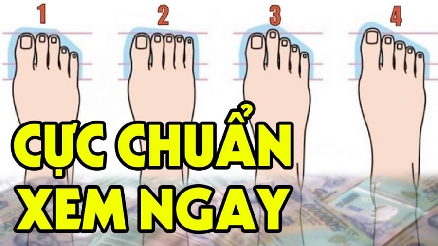 Người Có Tướng Bàn Chân Này Cuộc Dời Đi Trên Nhung Lụa: Càng Già Càng Giàu Có Tường Chân Giàu Có
