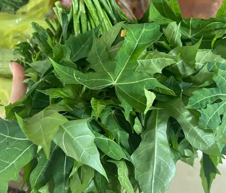 Với đặc tính nhiều dưỡng chất, một số chuyên gia cũng khuyến cáo chỉ nên ăn khoảng hai đến ba bữa mỗi tuần để cơ thể hấp thu vừa đủ, không nên lạm dụng