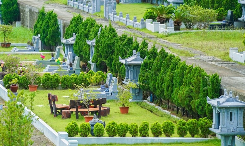 Cây tùng có kích thước lớn tạo bóng mát, mang lại không gian thoáng đãng, yên bình cho nơi linh liêng. (Ảnh minh họa)