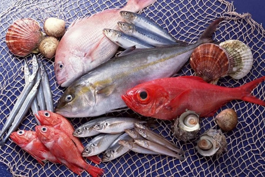 z7254408784581_b046ac6a15171942740a7e31677e3202