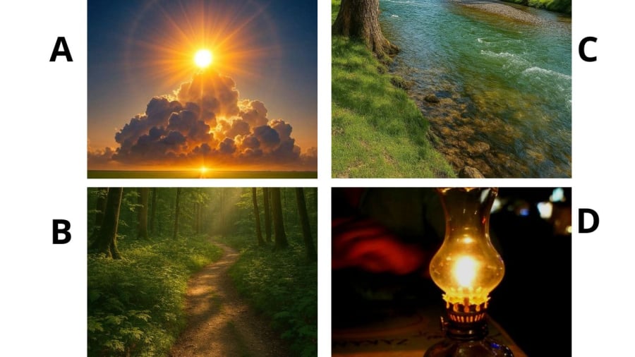 Bạn chọn hình ảnh nào?