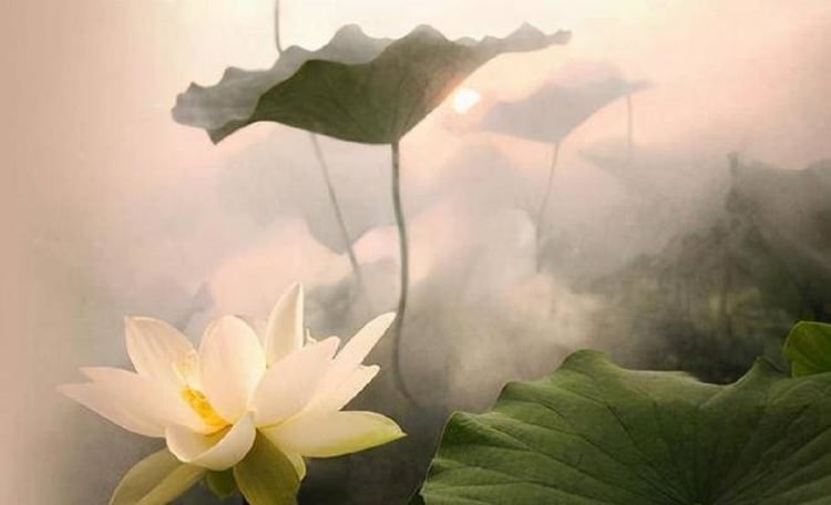 Phật dạy về kẻ nịnh bợ có nói rằng, ai mà chẳng thích mình được người khác nịnh nọt, khen ngợi nhưng cũng chỉ nên dừng ở mức cảm ơn xã giao chứ đừng lún sâu vào những lời đường ngọt quá mức. (Ảnh minh họa)