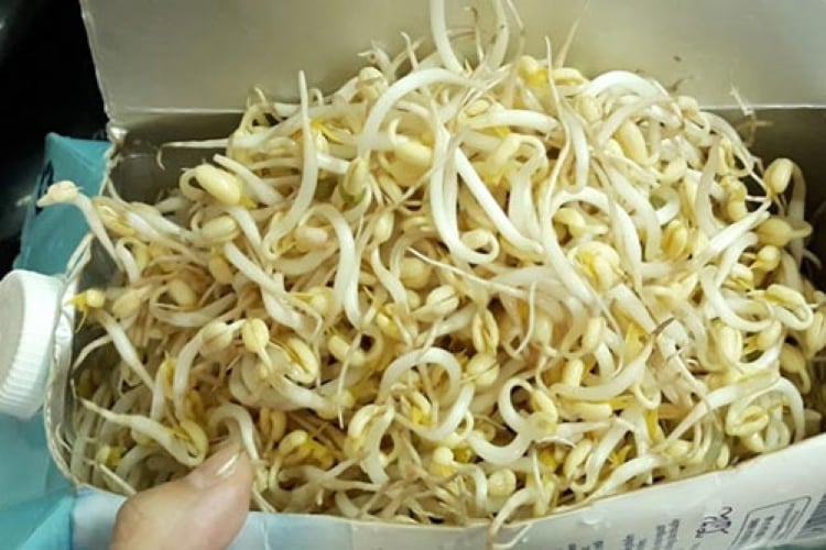 Giá có thể thu hoạch được rồi. (Ảnh minh họa)